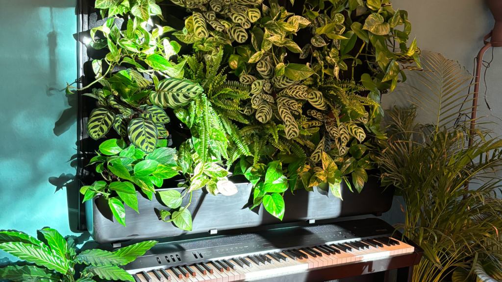 Pflanzenwand im Wohnzimmer; Hängepflanzen an einem Board an der Wand über einem Klavier